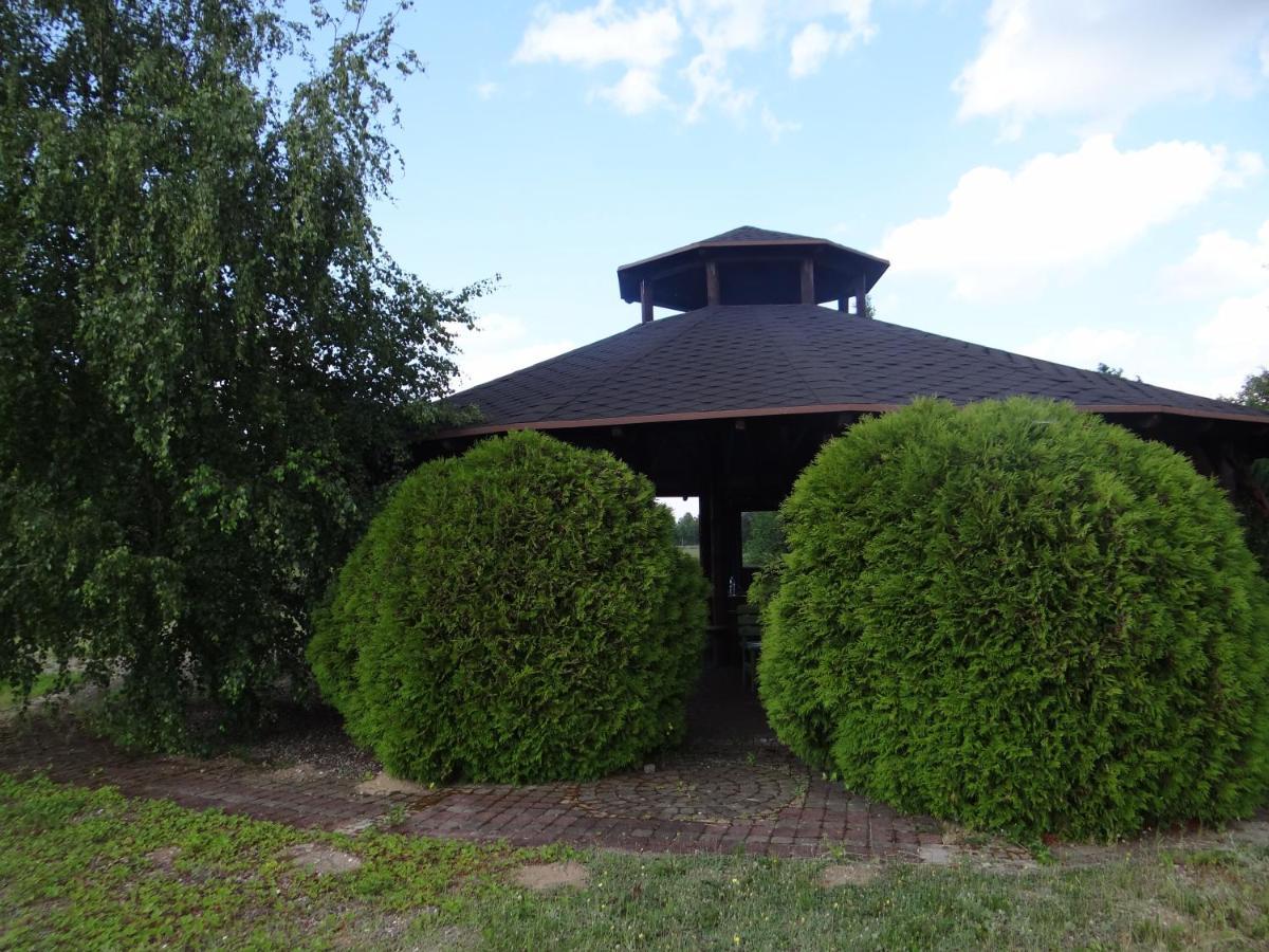Gospodarstwo Agroturystyczne Zasadkowe Bory Rogowo  Exterior photo
