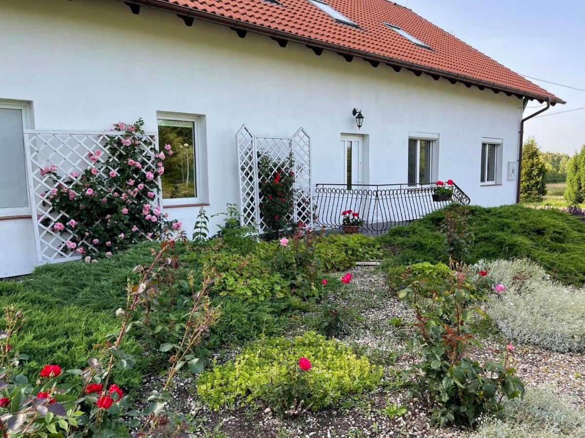 Gospodarstwo Agroturystyczne Zasadkowe Bory Rogowo  Exterior photo